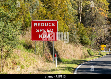 Réduire la vitesse maintenant Roadsign Banque D'Images