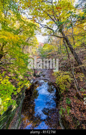 La vue de dessus à la recherche à travers un canyon de Matthiessen State Park avec les belles couleurs d'automne et le ciel bleu qui reflète sur l'eau. Banque D'Images