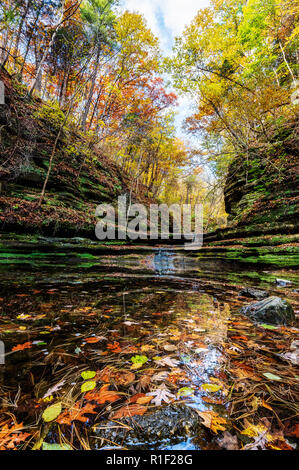 Une piscine de l'eau dans les canyons de Matthiessen State Park dans l'Illinois avec la belle automne feuilles flottant. Banque D'Images