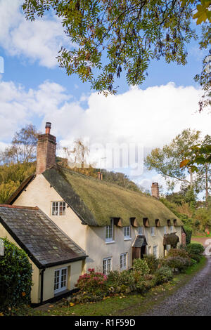 Chaumières dans le village pittoresque de Dunster, Somerset, England, UK Banque D'Images