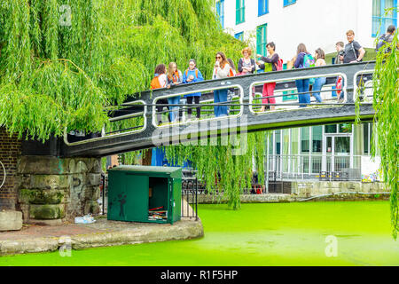 Londres, UK - 1 septembre 2018 - touristes traversant le Camden Lock passerelle au-dessus de Regents Canal couvert par la lentille d'eau verte Banque D'Images