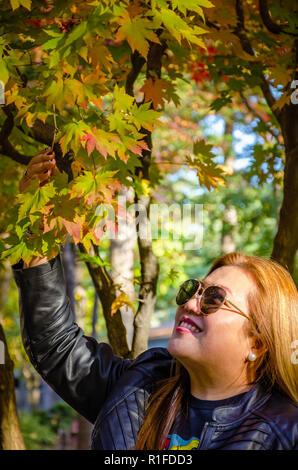 Une dame admire les belles feuilles d'automne sur un érable sur l'Île de Nami, la Corée du Sud. Banque D'Images