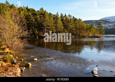 Loch an Eilein gelés en hiver, de Rothiemurchus, près d'Aviemore, région des Highlands, Ecosse Banque D'Images