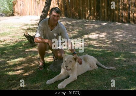 White Lion, Cango Wildlife Ranch, Afrique du Sud Banque D'Images