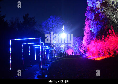 Sète, France. 11Th Nov, 2018. Waddesdon Manor Illuminations de Noël. Sentier de la lumière. Continue de 10 novembre au 2 janvier 2019. UK Crédit : Susie Kearley/Alamy Live News Banque D'Images