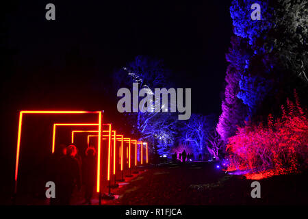 Sète, France. 11Th Nov, 2018. Waddesdon Manor Illuminations de Noël. Sentier de la lumière. Continue de 10 novembre au 2 janvier 2019. UK Crédit : Susie Kearley/Alamy Live News Banque D'Images