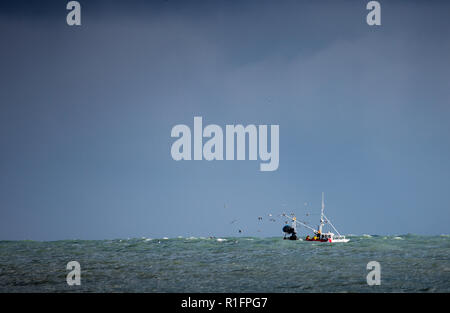 Myrtleville, co Cork, Irlande. 12 novembre, 2018. Trawler Muir Éinne pêche en mer agitée au large, Myrtleville Co. Cork, Irlande. Crédit : David Creedon/Alamy Live News Banque D'Images