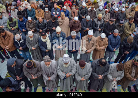 Srinagar, au Cachemire. 12 novembre, 2018. Les musulmans du Cachemire sont vu prier dans un sanctuaire de Saint Soufi Khwaja Naqshband Sahib dans Srinagar.Des milliers de musulmans se sont rassemblés pour offrir ''traditionnelle'' Digar Khawaja prières de masse spécial pour marquer l'anniversaire de mort (URS) de Saint Soufi Khwaja Naqshband Sahib à son culte à Khwaja Bazar salon à Srinagar. Credit : SOPA Images/ZUMA/Alamy Fil Live News Banque D'Images