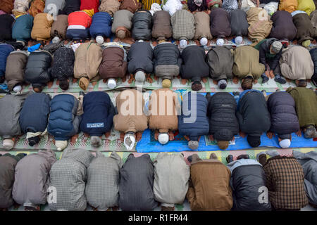 Srinagar, au Cachemire. 12 novembre, 2018. Les musulmans du Cachemire sont vu prier dans un sanctuaire de Saint Soufi Khwaja Naqshband Sahib dans Srinagar.Des milliers de musulmans se sont rassemblés pour offrir ''traditionnelle'' Digar Khawaja prières de masse spécial pour marquer l'anniversaire de mort (URS) de Saint Soufi Khwaja Naqshband Sahib à son culte à Khwaja Bazar salon à Srinagar. Credit : SOPA Images/ZUMA/Alamy Fil Live News Banque D'Images