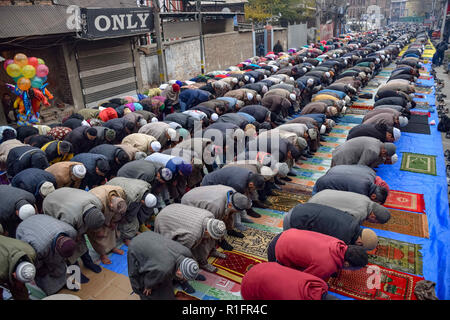 Srinagar, au Cachemire. 12 novembre, 2018. Les musulmans du Cachemire sont vu prier dans un sanctuaire de Saint Soufi Khwaja Naqshband Sahib dans Srinagar.Des milliers de musulmans se sont rassemblés pour offrir ''traditionnelle'' Digar Khawaja prières de masse spécial pour marquer l'anniversaire de mort (URS) de Saint Soufi Khwaja Naqshband Sahib à son culte à Khwaja Bazar salon à Srinagar. Credit : SOPA Images/ZUMA/Alamy Fil Live News Banque D'Images