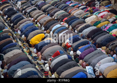 Srinagar, au Cachemire. 12 novembre, 2018. Les musulmans du Cachemire sont vu prier dans un sanctuaire de Saint Soufi Khwaja Naqshband Sahib dans Srinagar.Des milliers de musulmans se sont rassemblés pour offrir ''traditionnelle'' Digar Khawaja prières de masse spécial pour marquer l'anniversaire de mort (URS) de Saint Soufi Khwaja Naqshband Sahib à son culte à Khwaja Bazar salon à Srinagar. Credit : SOPA Images/ZUMA/Alamy Fil Live News Banque D'Images