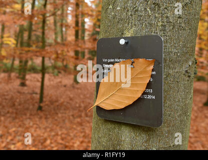 Nuthetal, Allemagne. 12Th Nov, 2018. Une feuille couvre les parties de l'écriture sur une plaque sur un arbre dans le près de Friedwald Nuthetal. L'enterrement dans les zones forestières spécialement désignées, offre une alternative à l'enfouissement classique dans le cimetière. Crédit : Bernd Settnik/dpa-Zentralbild/dpa/Alamy Live News Banque D'Images