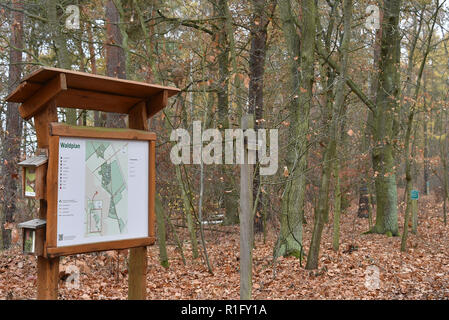 Nuthetal, Allemagne. 12Th Nov, 2018. Un plan du site montre l'enterrement dans les zones près de Friedwald Nuthetal. L'enterrement dans les zones forestières spécialement désignées, offre une alternative à l'enfouissement classique dans le cimetière. Crédit : Bernd Settnik/dpa-Zentralbild/dpa/Alamy Live News Banque D'Images