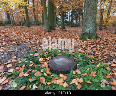 Nuthetal, Allemagne. 12Th Nov, 2018. Un exemple grave dans les Friedwald près de Nuthetal. L'enterrement dans les zones forestières spécialement désignées, offre une alternative à l'enfouissement classique dans le cimetière. Crédit : Bernd Settnik/dpa-Zentralbild/dpa/Alamy Live News Banque D'Images