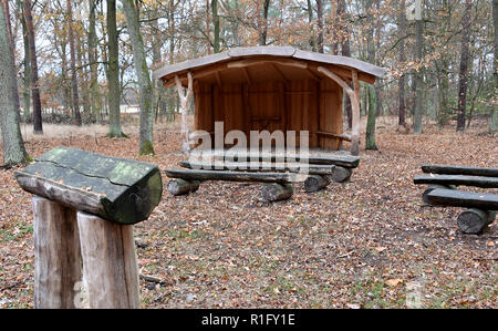 Nuthetal, Allemagne. 12Th Nov, 2018. L'Friedwald près de Nuthetal offre également la possibilité pour les funérailles. L'enterrement dans les zones forestières spécialement désignées, offre une alternative à l'enfouissement classique dans le cimetière. Crédit : Bernd Settnik/dpa-Zentralbild/dpa/Alamy Live News Banque D'Images