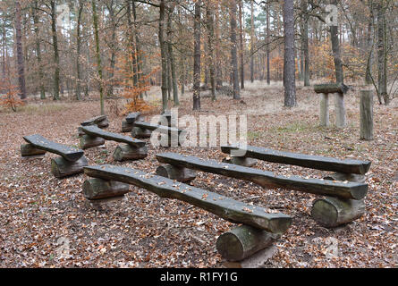 Nuthetal, Allemagne. 12Th Nov, 2018. L'Friedwald près de Nuthetal offre également la possibilité pour les funérailles. L'enterrement dans les zones forestières spécialement désignées, offre une alternative à l'enfouissement classique dans le cimetière. Crédit : Bernd Settnik/dpa-Zentralbild/dpa/Alamy Live News Banque D'Images