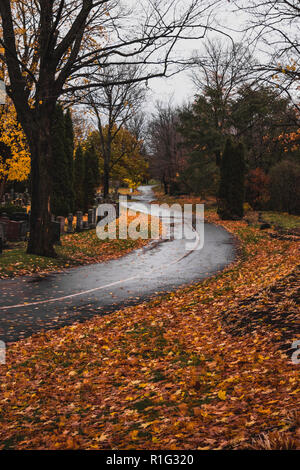 Route à l'automne dans un cimetière - cimetière national Beechwood - Ottawa, Canada Banque D'Images