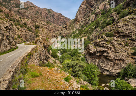 Scala di Santa Regina Canyon, vallée de la rivière Golo, la D-84, Haute-Corse, Corse, France Banque D'Images