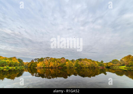 Les oiseaux sur les arbres portant des feuilles d'automne couleur reflétée sur l'eau calme Banque D'Images