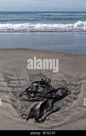 Algues varech échoué sur une plage, côte ouest, Nouvelle-Zélande Banque D'Images