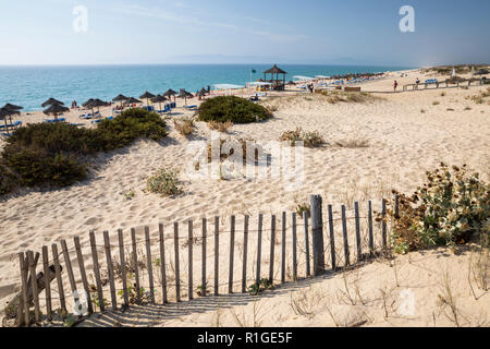 Praia da Comporta au soleil d'après-midi, la péninsule de Troia, comporta, district de Setubal, région de Lisbonne, Portugal, Europe Banque D'Images