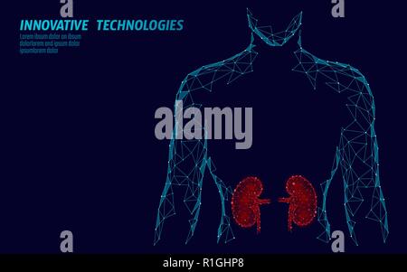 Reins organe interne 3d silhouette hommes poly faible modèle géométrique. Urologie médecine système de traitement. La technologie future science wire mesh géométriques polygonales vector illustration Illustration de Vecteur