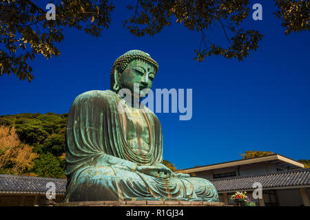 Le Grand Bouddha de Kamakura, œuvre monumentale statue en bronze, l'une des icônes les plus célèbres et les attractions du Japon Banque D'Images