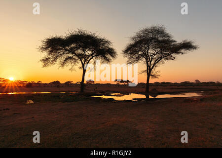 Senyati spectaculaire lever du soleil à trou d'eau au Botswana, Afrique du Sud Banque D'Images