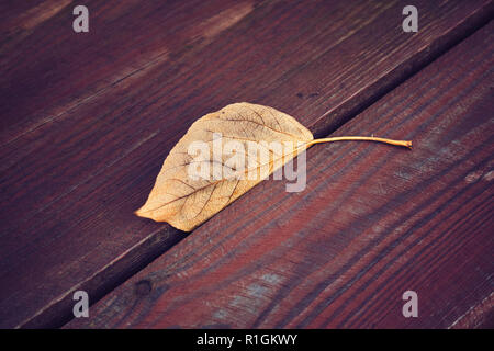 Les feuilles séchées sur une table en bois, selective focus, photo aux tons de couleur. Banque D'Images