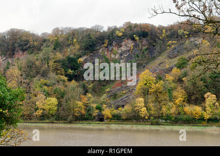 Couleurs d'automne sur les falaises de l'Avon Gorge, Bristol, UK Banque D'Images