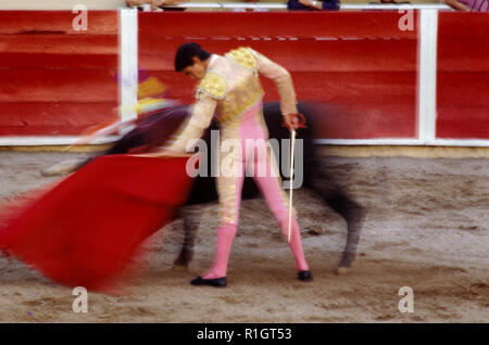 Matador dans un anneau avec un taureau. Banque D'Images