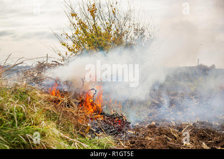 Laisse brûler, le feu pendant le nettoyage du jardin. Les corvées d'automne sur la ferme. La fumée volumineuse. Banque D'Images