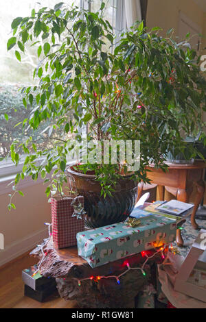 Un grand salon, décoré avec des plantes d'intérieur, les lumières de Noël et entouré de créativité présente remplace un arbre de Noël traditionnel Banque D'Images