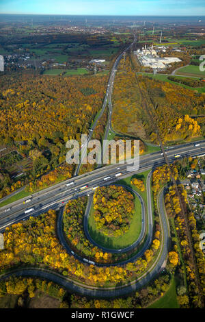 Vue aérienne de l'autoroute, Bottrop, autoroute A2, A31, frites cracher, feuillage d'automne, forêt d'automne, naturel, Bottrop, Ruhr, Rhénanie du Nord-Westphalie, Allemagne Banque D'Images