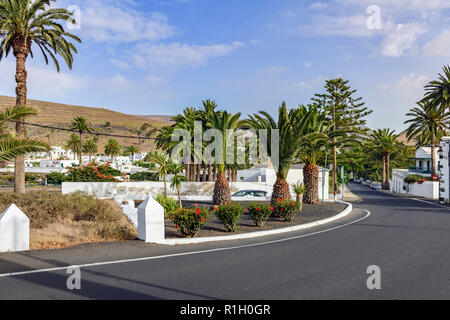 Vue sur la route principale traversant Haria Lanzarote canaries avec palmiers date ( Phoenix canariensis ) dans le centre Banque D'Images