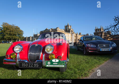 Close-up de certaines des voitures d'un club de voiture Jaguar français à l'entrée du Palais de Blenheim. Banque D'Images