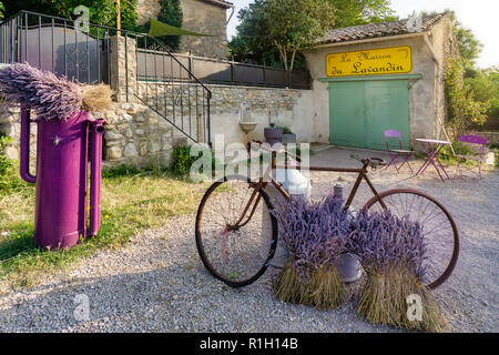 La Maison du lavandin, lavande, lavandin La chambre, location, riez, Alpes de Haute Provence. France Banque D'Images