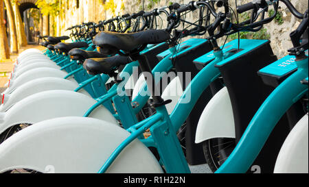 Longue file de vélos garés dans la station de location de vélos automatique, dans le parc à l'arrière-plan d'arbres verts Banque D'Images