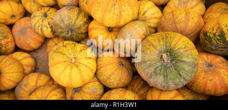 Nous savons que l'automne est ici lorsque affiche plein de citrouilles et courges afficher jusqu'au marché Banque D'Images