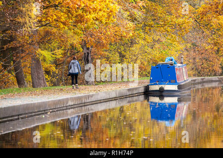 Bateau étroit sur la branche Llangollen de 46 km de long du canal Shropshire union avec les couleurs glorieuses d'automne dans les arbres le long du chemin de halage Banque D'Images