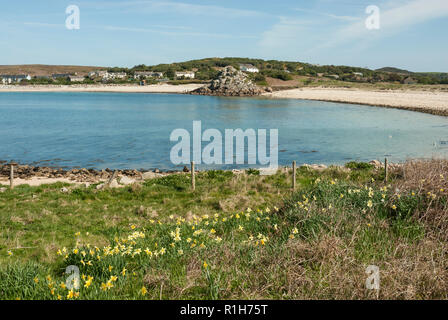 La belle grande plage de Porth Grand par ou avec du sable doré, galets, mer turquoise, ciel bleu et fleurs de printemps. Bryher, Îles Scilly UK Banque D'Images