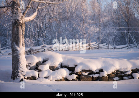 Les clôtures et les arbres couverts de neige en hiver paysage. Profondeur de champ, l'accent sur tronc d'arbre. Banque D'Images