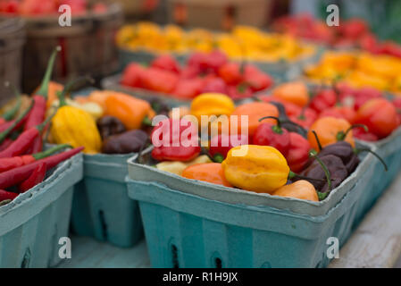 Les poivrons en vente au marché de producteurs Banque D'Images