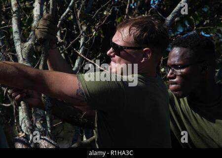 Les Marines américains avec le Siège et support Company (H&S CO), 8e, 2e Bataillon d'appui du Groupe de la logistique maritime, utilise une tronçonneuse pour découper des débris à Camp Lejeune, en Caroline du Nord, le 19 septembre 2018. H&S envoie les marines de l'aider dans l'élimination de la base de débris à la suite de l'ouragan Florence. Banque D'Images