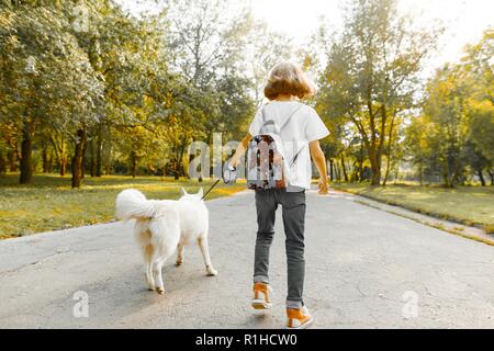 Petite fille marcher avec un chien blanc Husky sur la route dans le parc, vue de dos. Banque D'Images