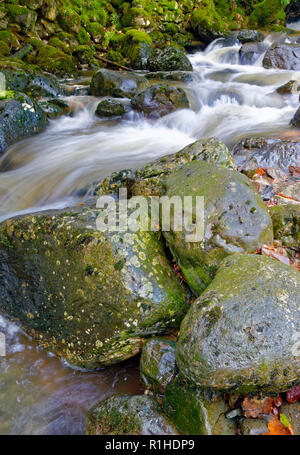 Une vue rapprochée de Launchy Gill rivière comme il se précipite vers Thirlmere dans le Lake District. Banque D'Images