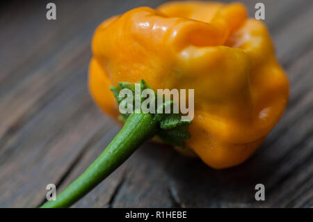 Piment scotch bonnet jaune close-up Banque D'Images