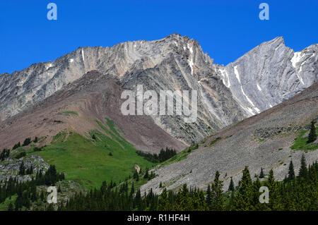 Les pics, vallées, prairies et autres paysage dans les montagnes Rocheuses du Canada Banque D'Images