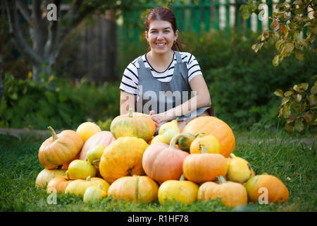 Photo de chauffeur particulier femme en tablier gris entre la récolte de citrouille sur pelouse verte sur journée d'été Banque D'Images