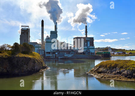 Un paysage horizontal image de la Irving Pulp mill situé dans le célèbre Reversing Falls sur la rivière Saint-Jean, dans la ville de Saint John Nouveau Brun Banque D'Images